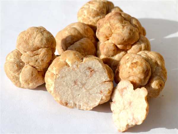 White Truffles