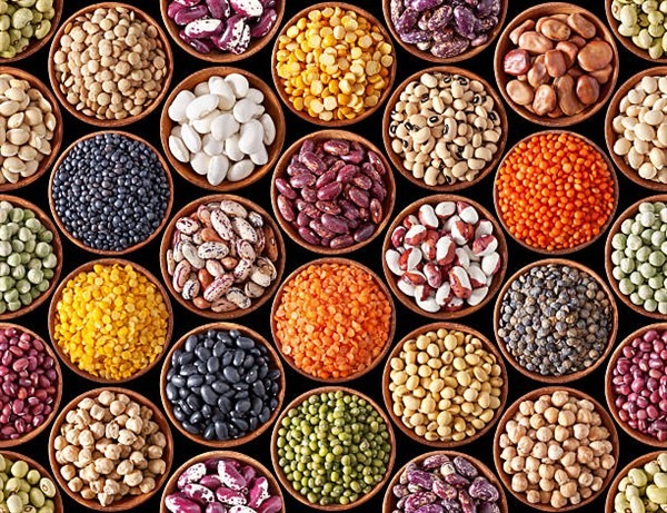 Legumes